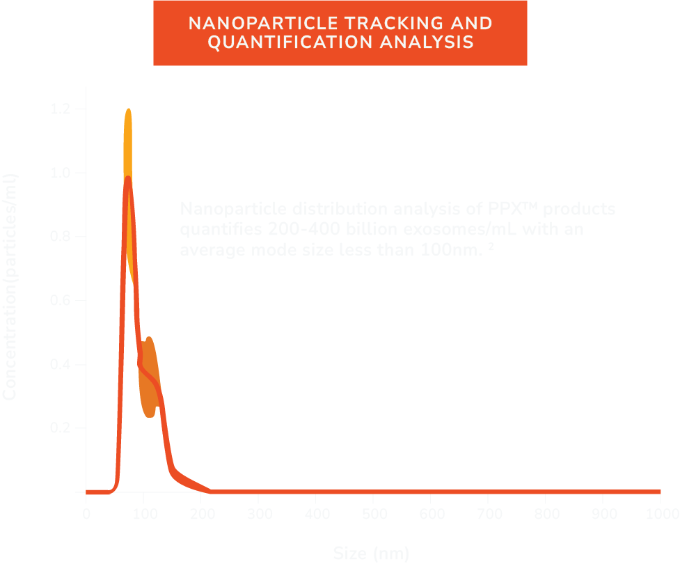 Nanoparticle Tracking Analysis of PPX